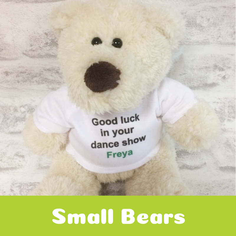 Personalised Printed Small Teddy Bears