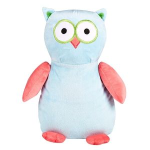 Hooty Loo The Owl