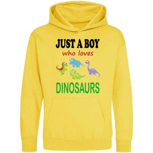Just a Boy / Girl who loves DINOSAURS Childrens Hoodie