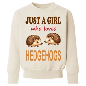 Just a Boy / Girl who loves HEDGEHOGS Childrens Sweatshirt / Jumper