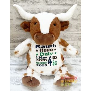 Lone Star The Texas Longhorn