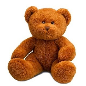 Personalised Teddy Bears - Small 8 Inch Brown Michael The Teddy Bear - Printed T-Shirt.