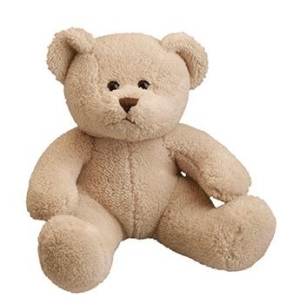 Personalised Teddy Bears - Small 8 Inch Cream Michael The Teddy Bear - Printed T-shirt.