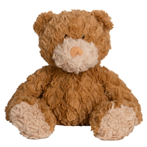 Personalised Teddy Bears - 10 Inch Davis the Teddy Bear Fluffy Soft Toy - Printed on a white T-Shirt.