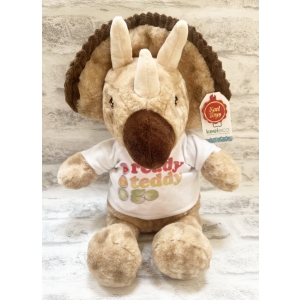 Personalised Teddy Bears - 13 Inch Keel Toys Eco Brown Dinosaur with Scarf Teddy Bear - Printed on a white T-Shirt.
