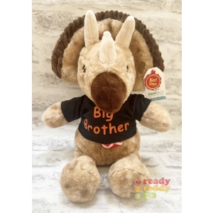 Personalised 13 Inch Keel Toys Eco Brown Dinosaur with Scarf Teddy Bear Wearing Coloured T-Shirt printed with PLAIN or GLITTER Vinyl