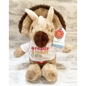 Personalised Teddy Bear - Small 10 Inch Keel Toys Eco Brown Dinosaur with Scarf - Printed