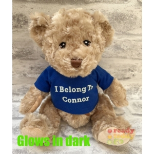 Personalised Medium 10 Inch 25cm Dougie Teddy Bear Wearing Coloured T-Shirt printed with GLOW in the Dark Vinyl - Any Name / Text or Custom Message