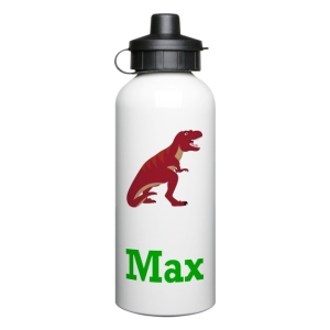 Personalised Children's 600ml Sport Water Drinks Bottle - Any Kids Name - Dinosaur Design