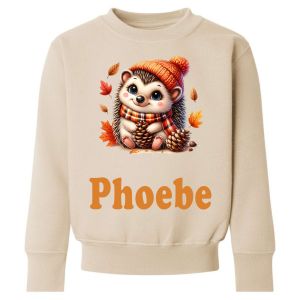 Autumn Hedgehog Any Name Childrens Sweatshirt / Jumper