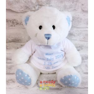 Blue Spotty The Baby Bear