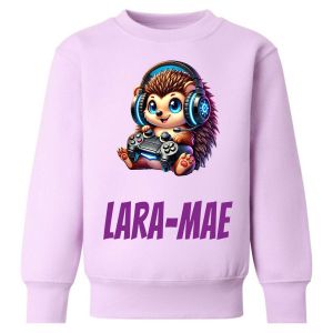 Gamer Hedgehog Any Name Childrens Sweatshirt / Jumper