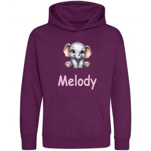 Cute Elephant Any Name Childrens Hoodie