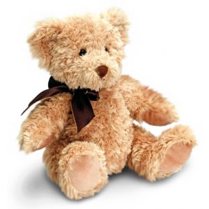 Sherwood Bear 25cm