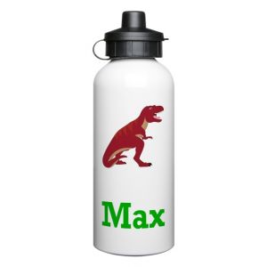 Dinosaur 600ml Sports Drinks Bottle