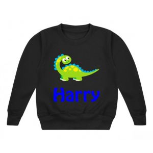 Cute Dinosaur Any Name Childrens Sweatshirt / Jumper